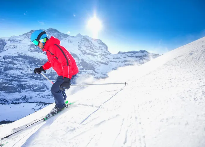 Allod Park Haus C 502 By Interhome 达沃斯